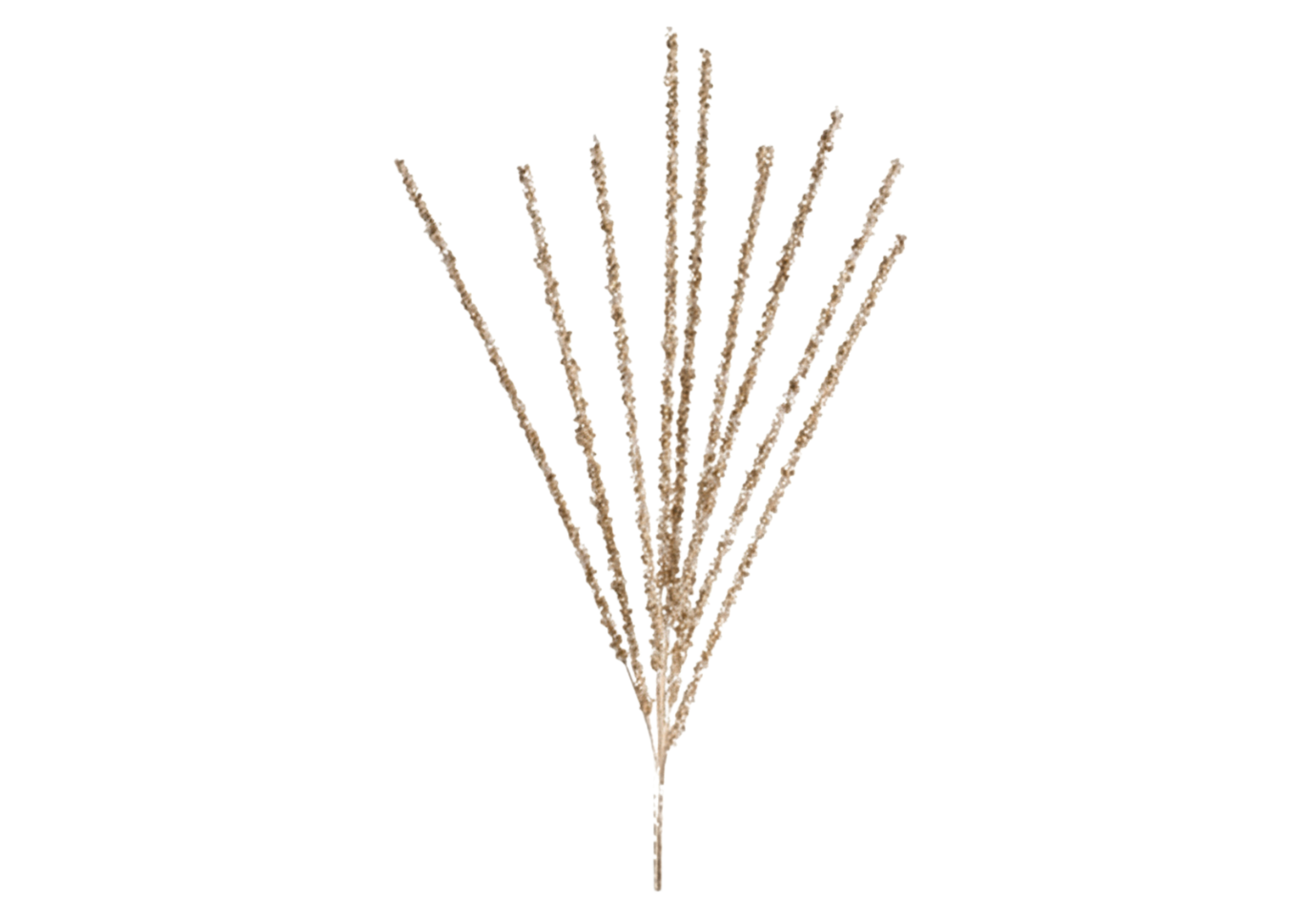 Rama Cepillo con Cuentas y Piedritas Dorado