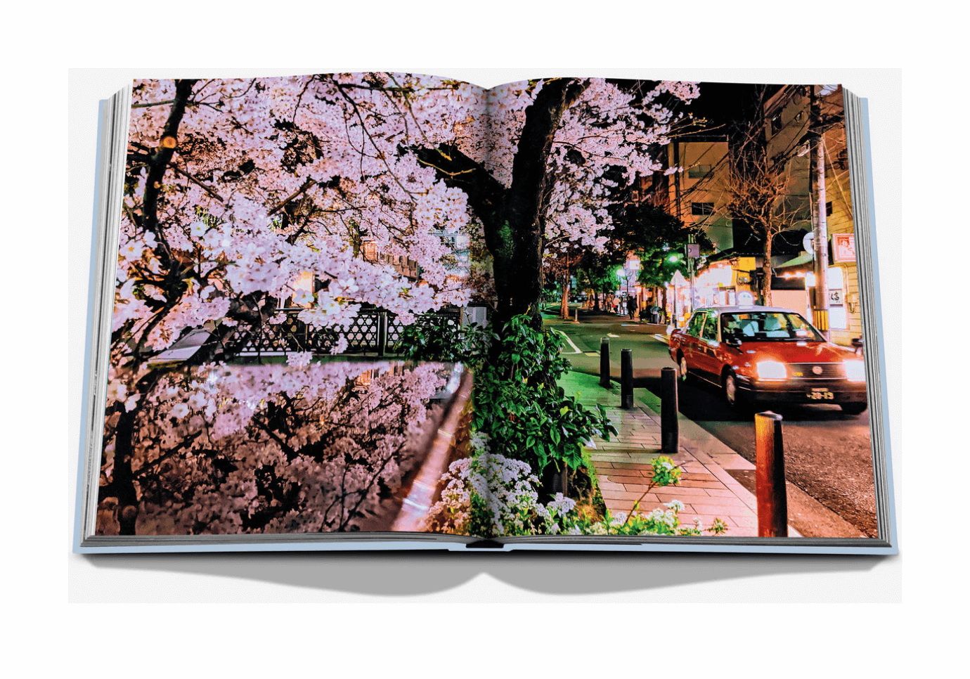 Libro Kyoto Serenity