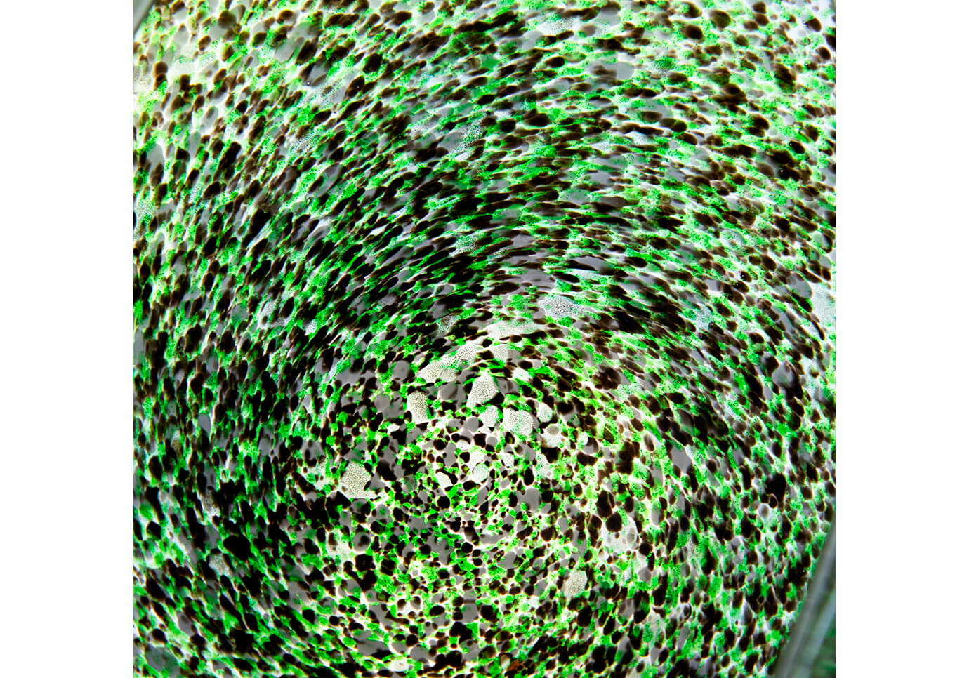Bowl Vidrio Artesanal