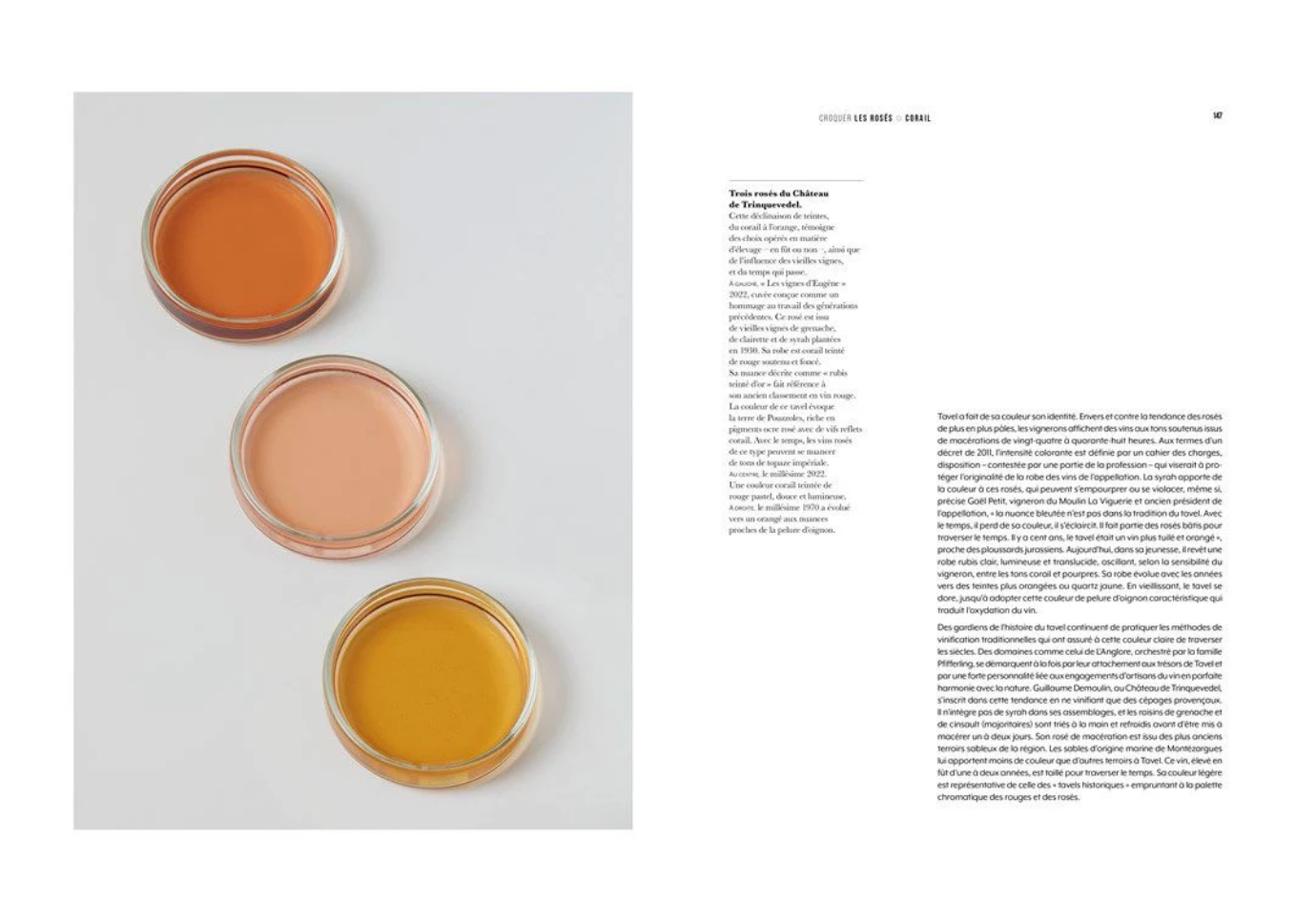 Libro Look of Wine