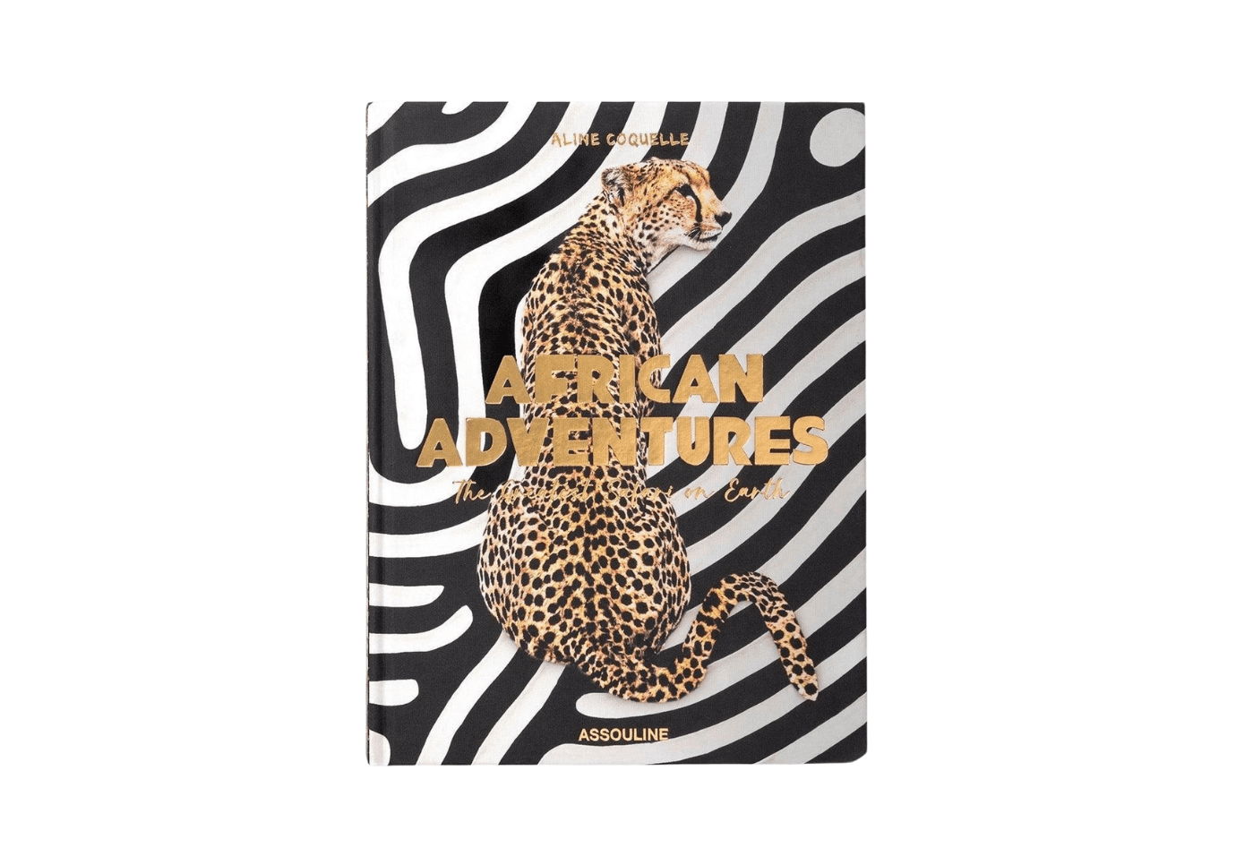 Libro African Adventures: The Greatest Safari on Earth