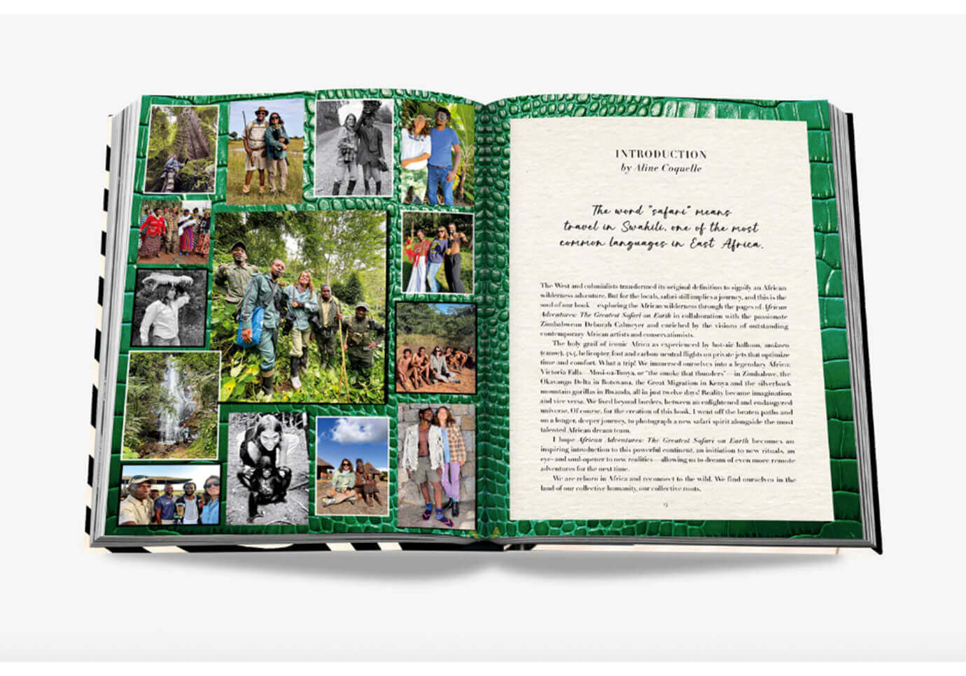 Libro African Adventures: The Greatest Safari on Earth