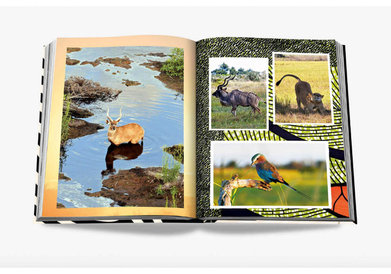 Libro African Adventures: The Greatest Safari on Earth
