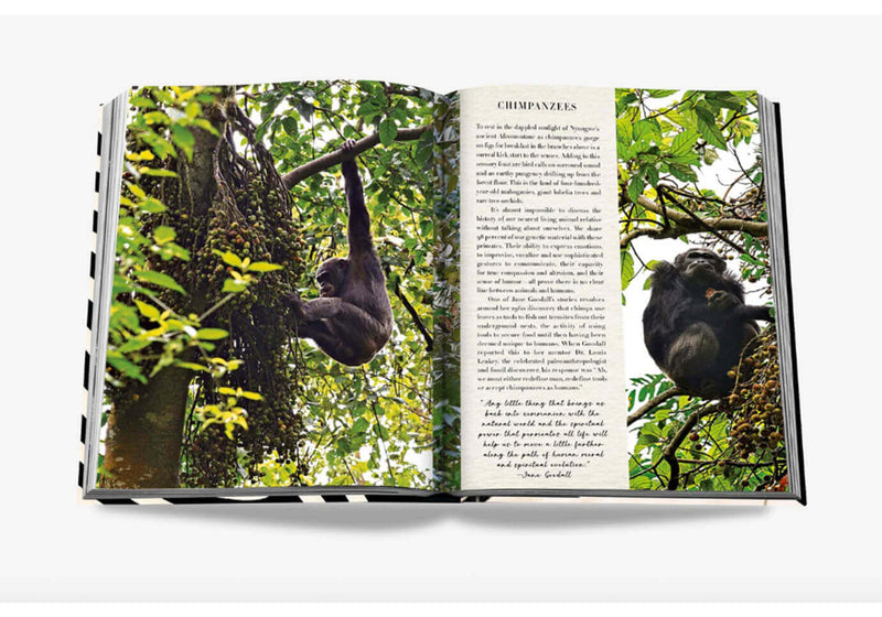 Libro African Adventures: The Greatest Safari on Earth
