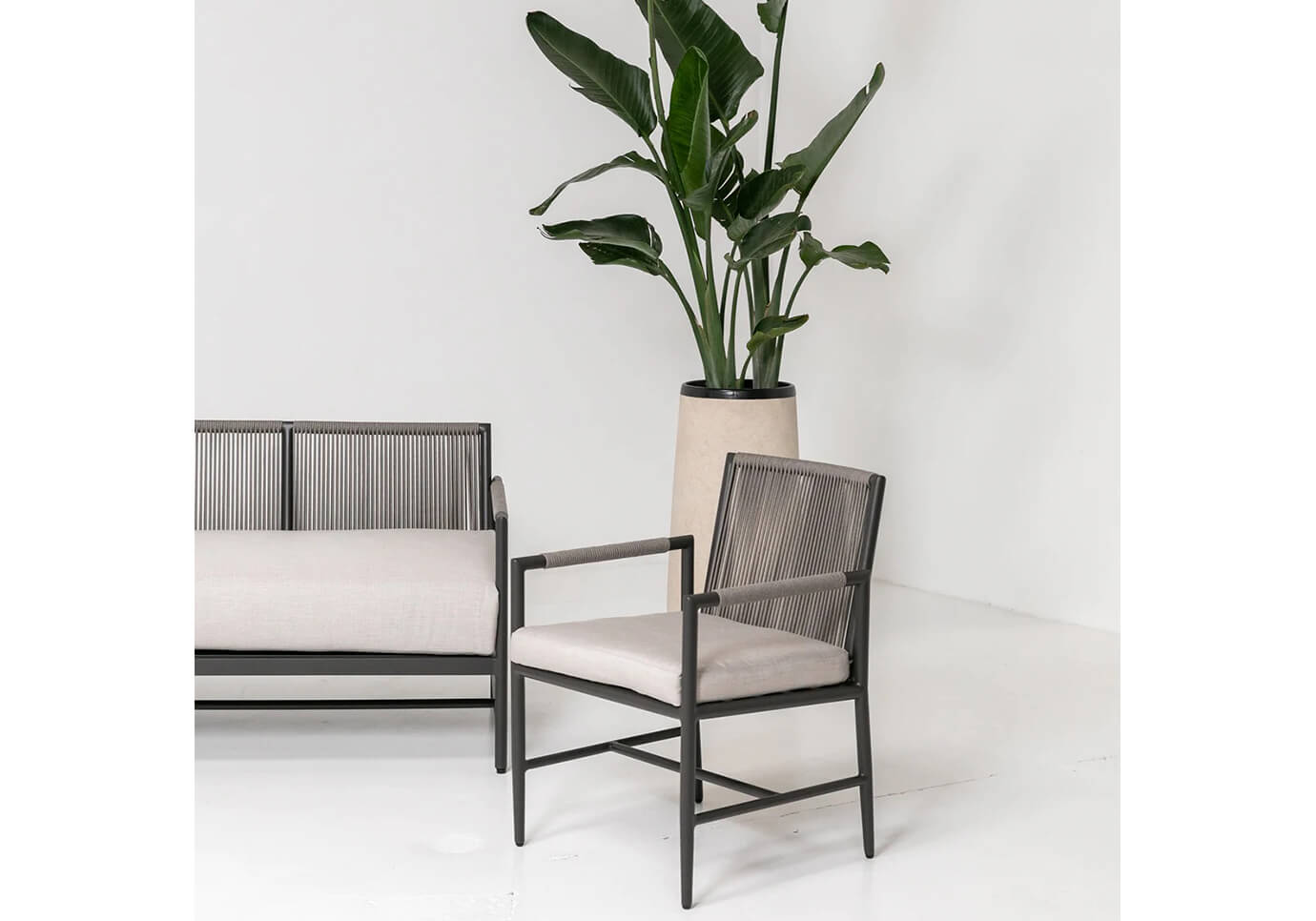 Silla con Brazos Petra