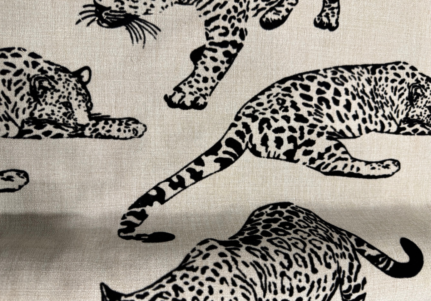 Cojín Animal Ebony 57 x 57