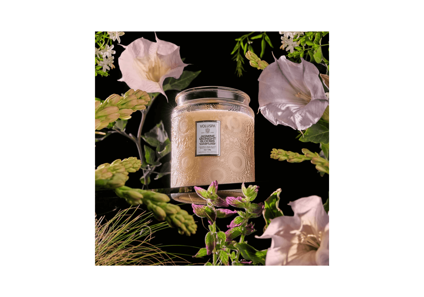 Vela Envase de Vidrio/Jasmine Mignight 44 Oz