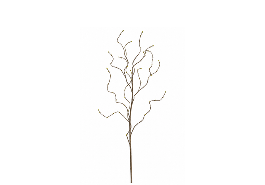 Rama Curly Willow Café Y Verde - Simone