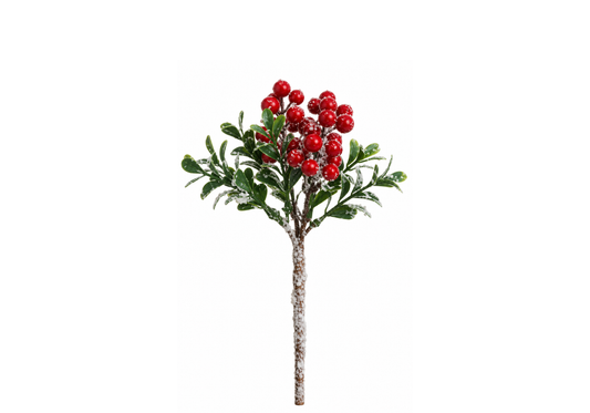 Rama De Boxwood Con Berry Y Hielo - Simone
