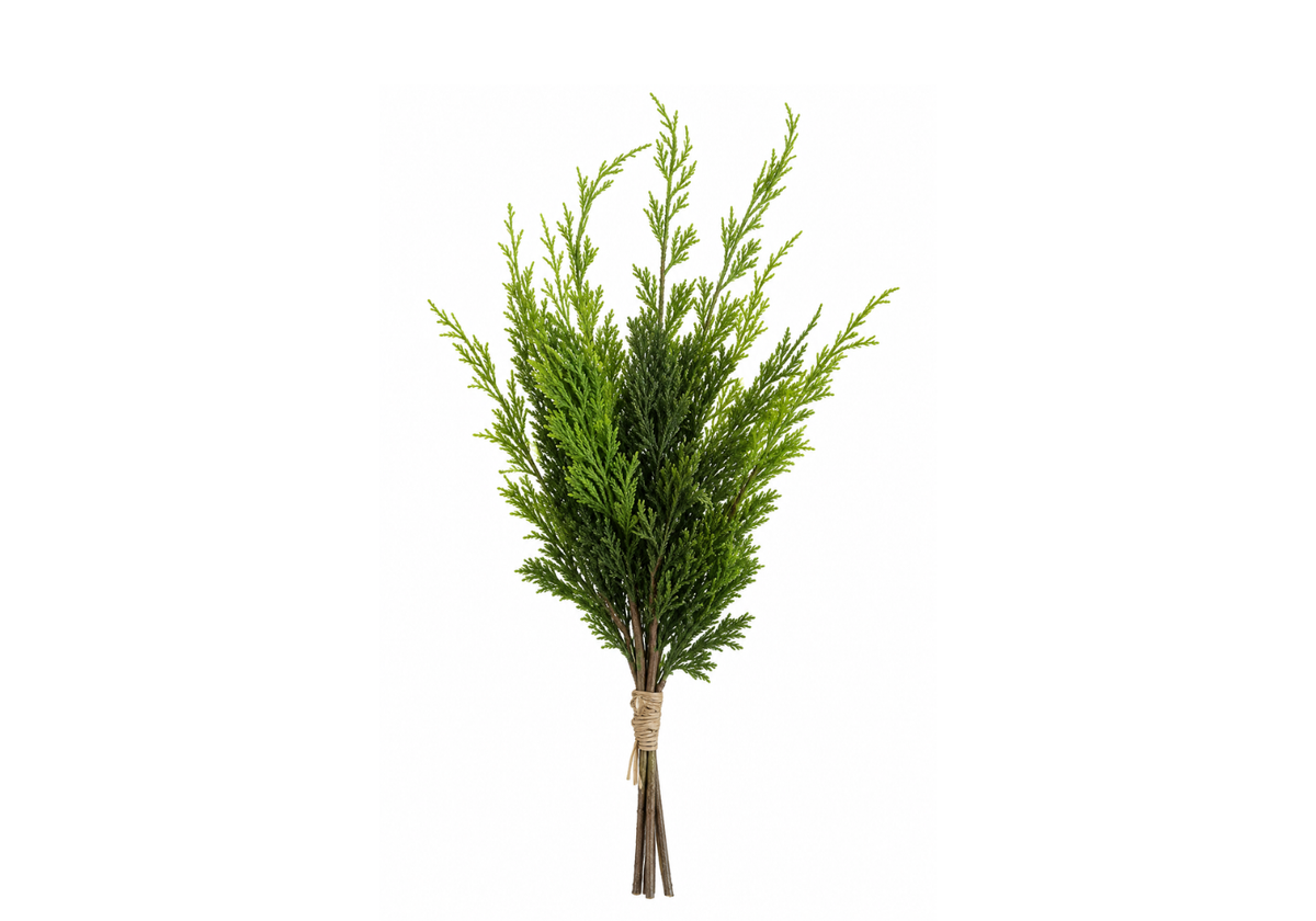 Pick de Pino Verde Cypress 40 cm
