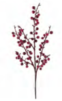 Rama de Berries Rojas / Vino Brillantes