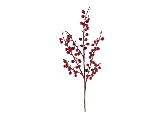 Rama de Berries Rojas / Vino Brillantes