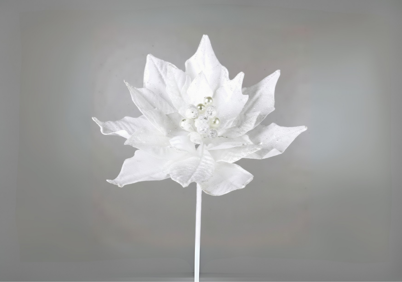 Rama Nochebuena Terciopelo Blanca con Filo Escarchado y Perlitas