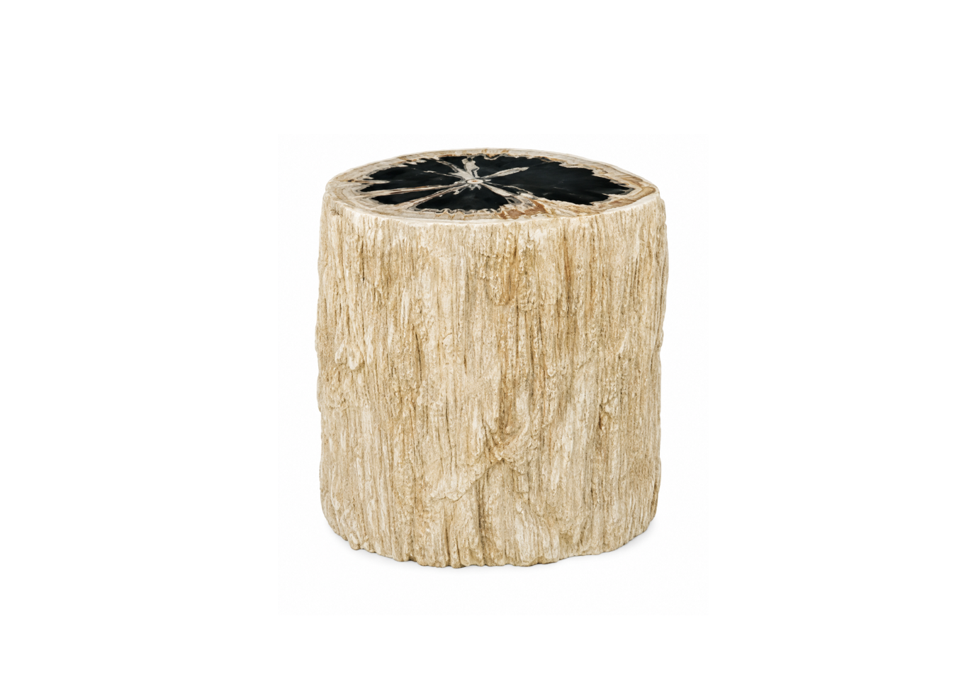 Mesa Lateral Cilíndrica de Madera Petrificada
