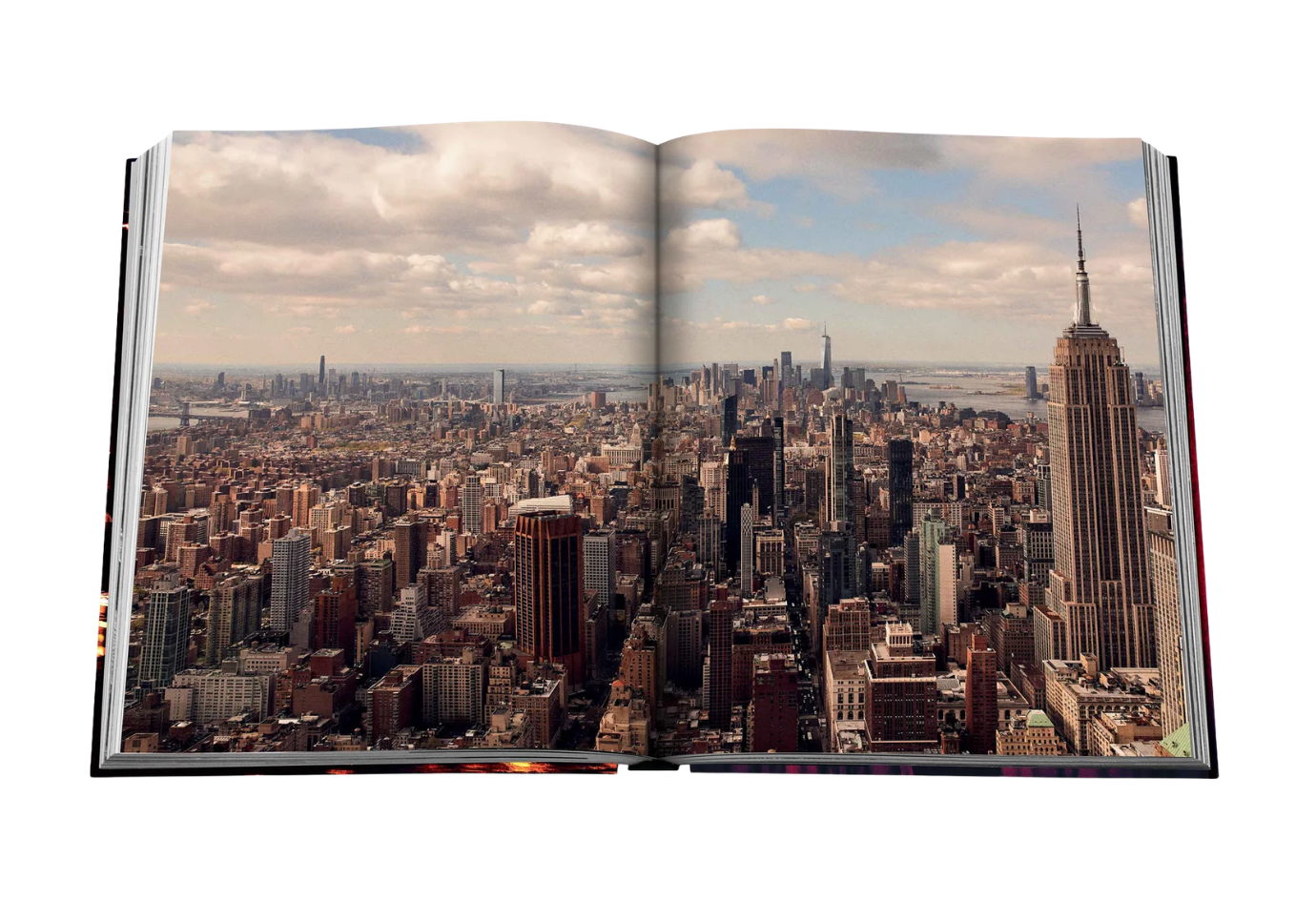 Libro New York Chic - Simone
