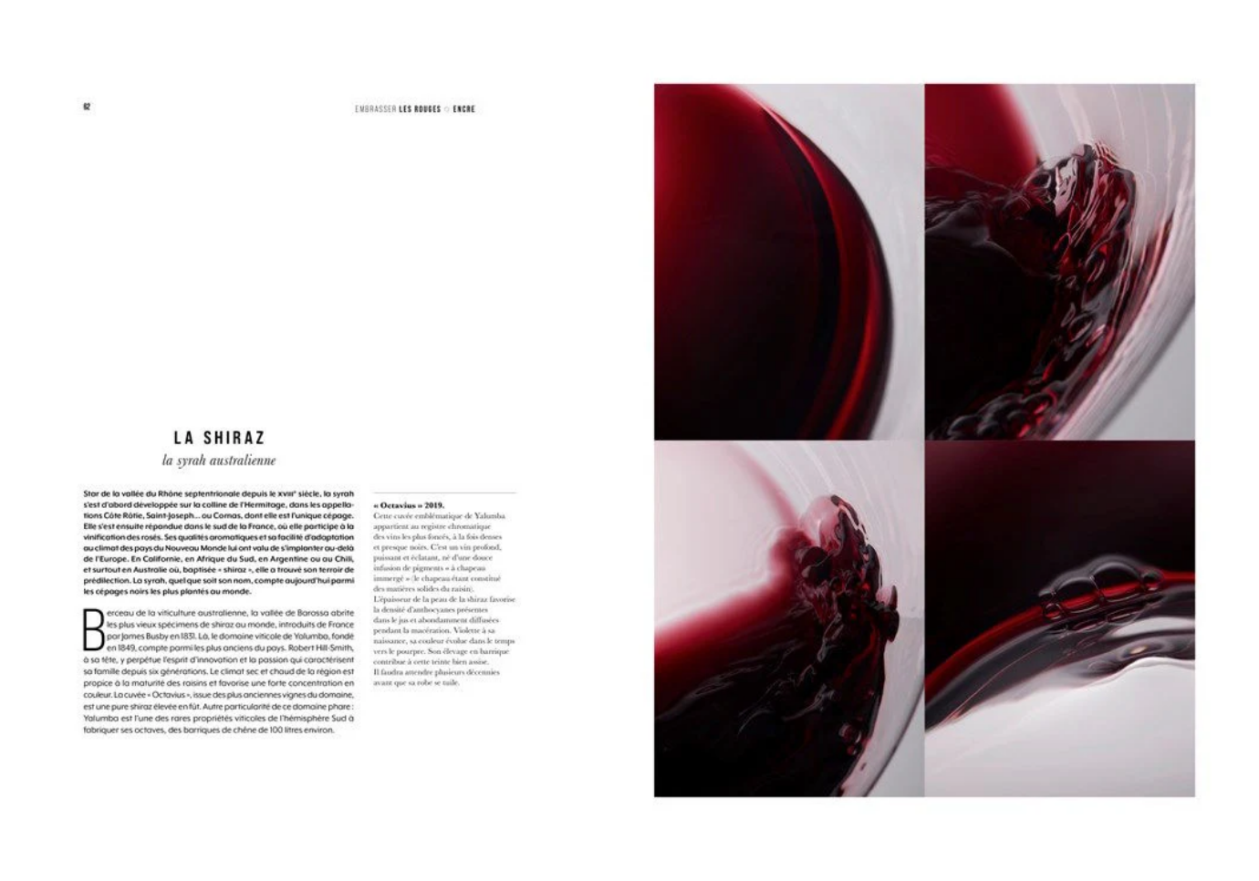 Libro Look of Wine