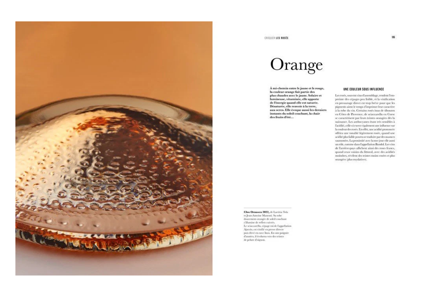 Libro Look of Wine