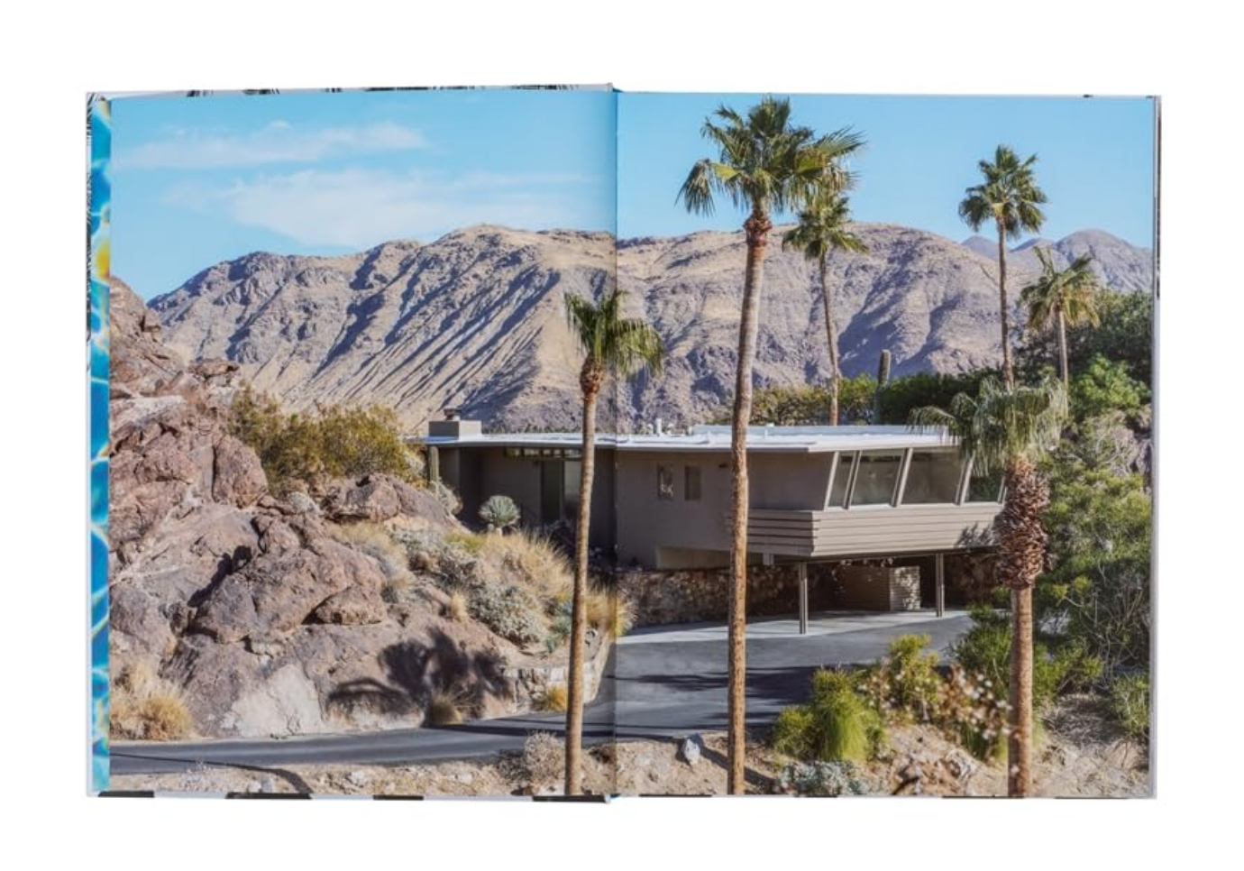 Libro Inside Palm Springs