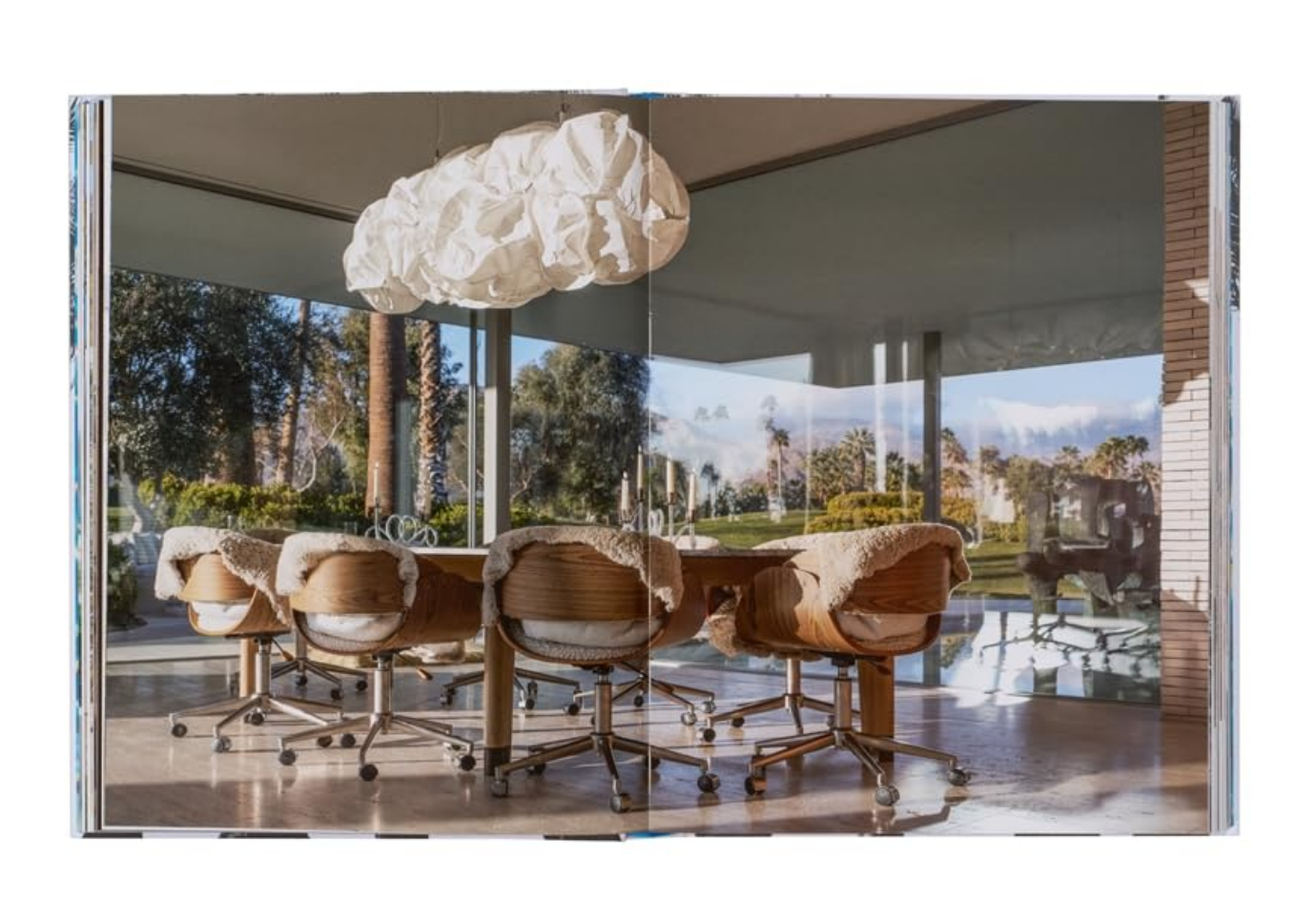Libro Inside Palm Springs