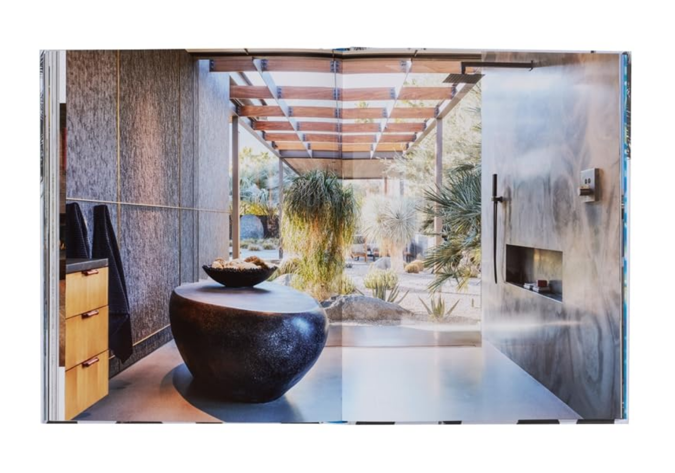 Libro Inside Palm Springs