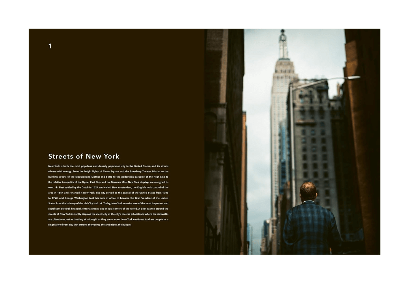Libro Trope New York Vol. 5 - Simone