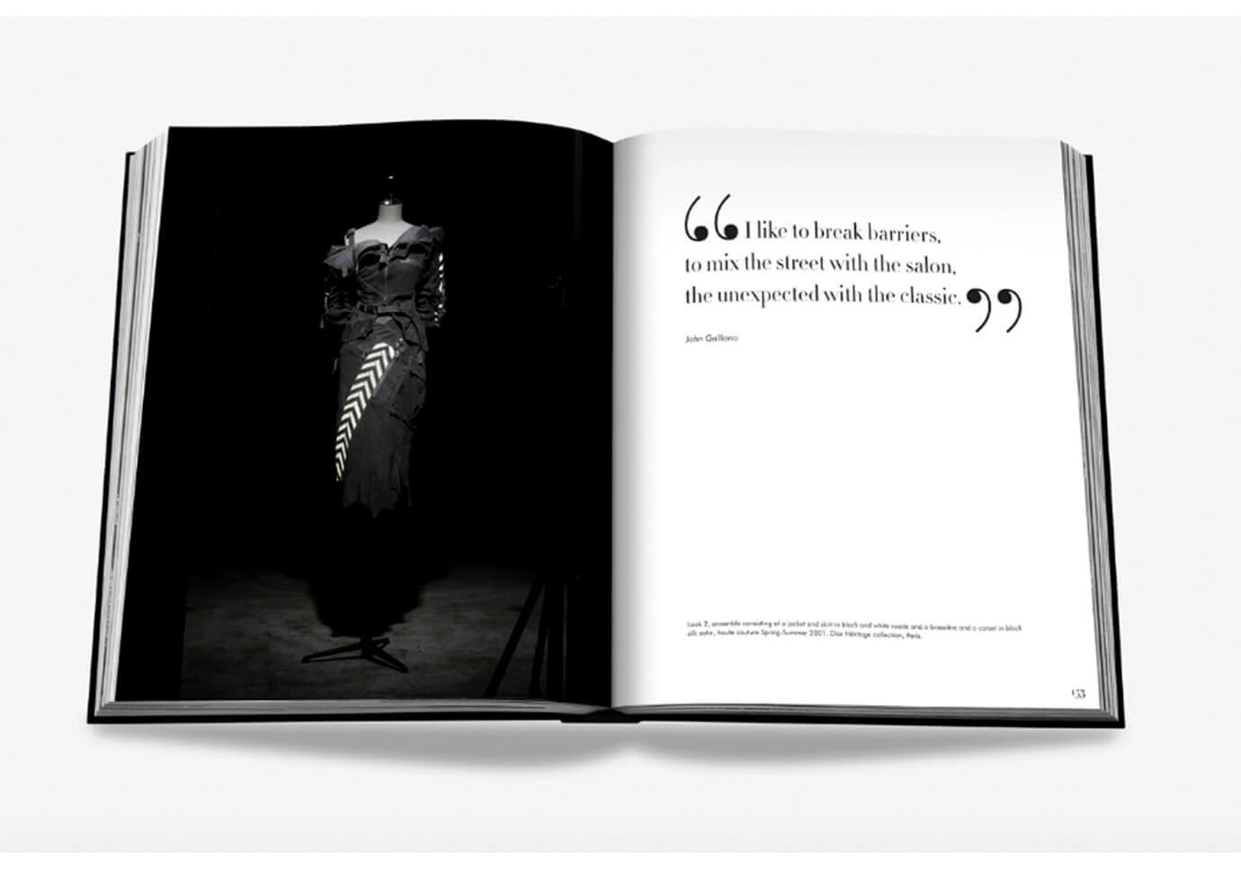 Libro Dior by John Galliano