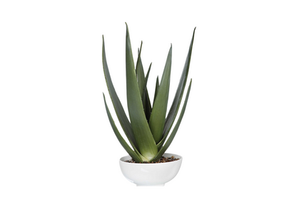 Planta de Aloe Vera Artificial con Piedras Naturales en Maceta Blanca | 71 cm