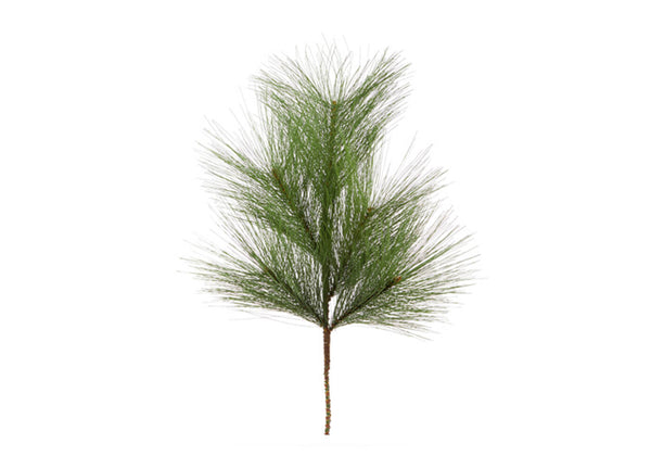 Rama de Pino Cepillo Verde 46 cm