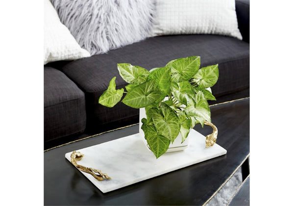 Quesera Rectangular de Mármol Blanco con Agarradera Dorada