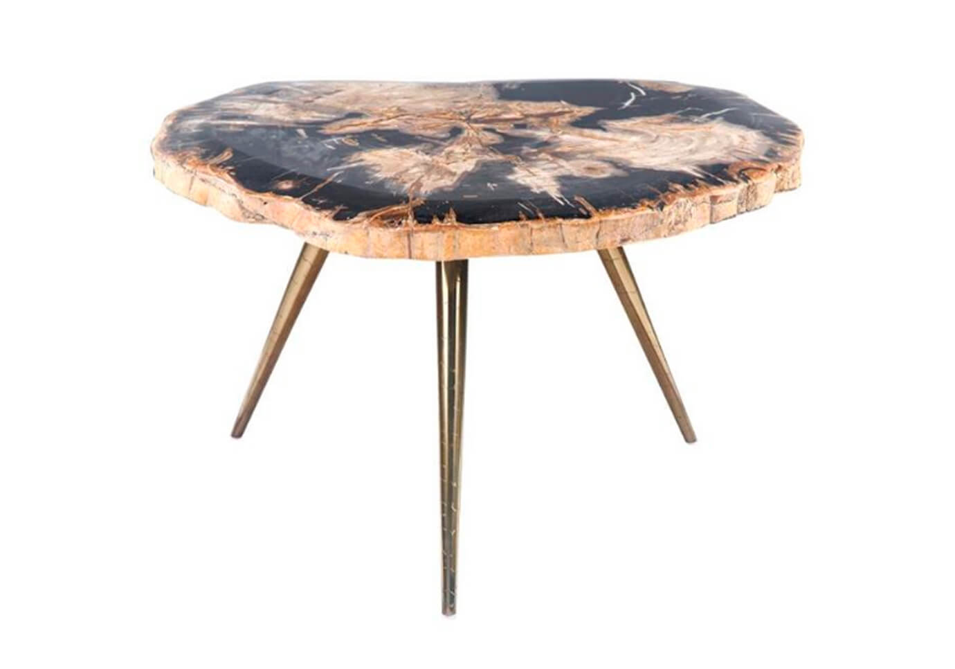 Mesa de Centro Piedra Fósil