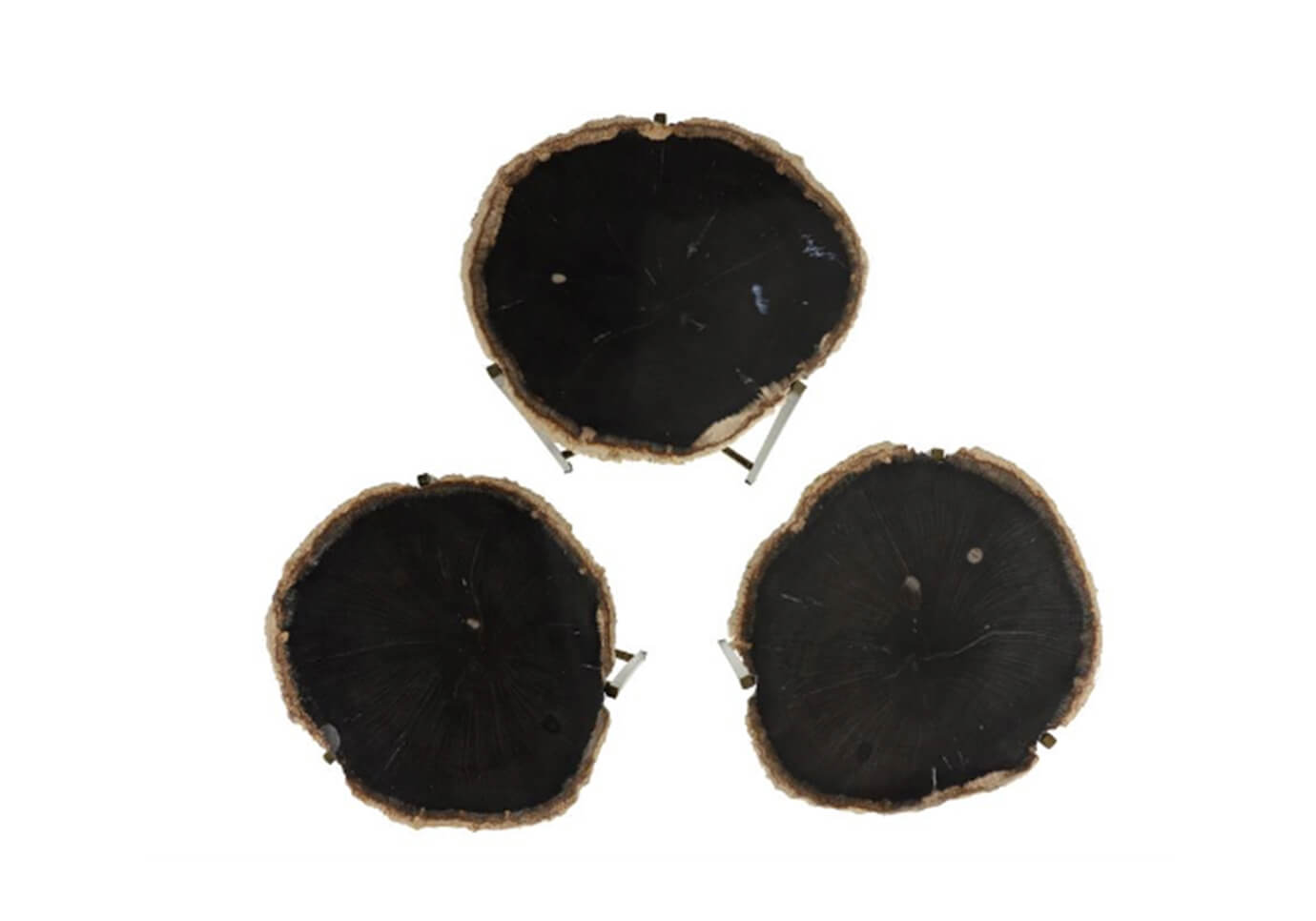 Mesa Ocasional de Madera Petrificada Patas Doradas