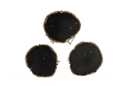 Mesa Ocasional de Madera Petrificada Patas Doradas