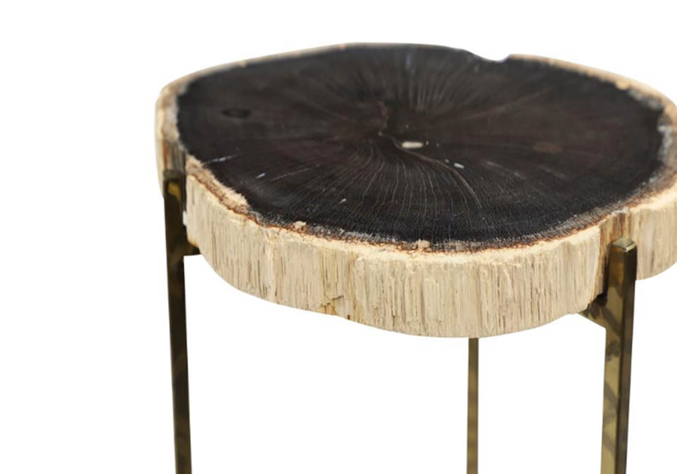 Mesa Ocasional de Madera Petrificada Patas Doradas
